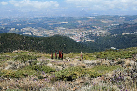 Nationalpark Teide | Foto: Erdmann-Crew, pixabay.com, CC0 Public Domain